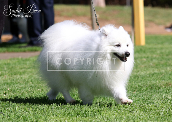 2R8A0028 copy