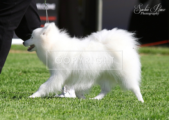 2R8A0174 copy