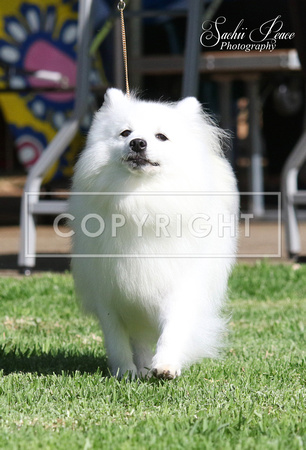 2R8A0228 copy